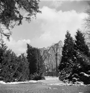 Stecher-Schneereste.jpg