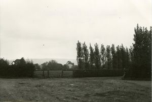 KF 229 a - Anzio-Allee.jpg