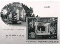 Partien aus dem Garten in den 1930ern