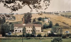 Schellental-Gesamtansicht.jpg
