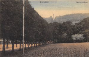 1910-Spelunkenturm und Bombergbahn-E-Geck-koloriert.jpg