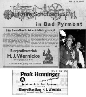 196x-Wernicke.jpg
