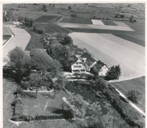 IMG 20200421 0121.jpg