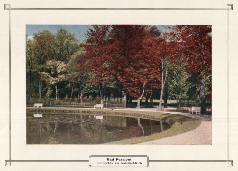 Datei:E-Hermann-Bad-Pyrmont-Blutbuchen-am-Goldfischteich.jpg