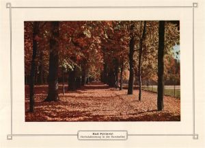 191x-Hermann-Bassinallee.jpg