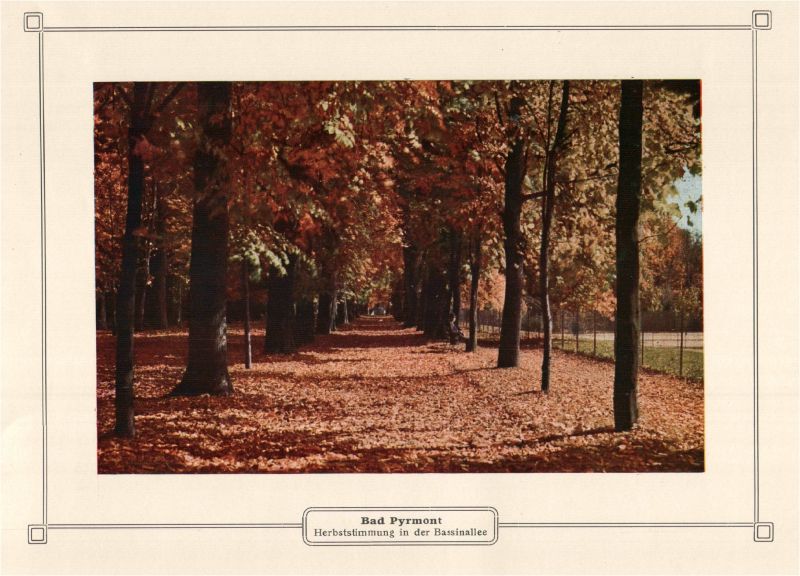 Datei:191x-Hermann-Bassinallee.jpg