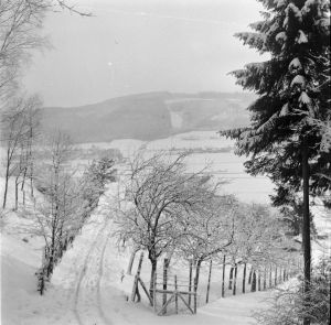 Stecher-Schnee3.jpg